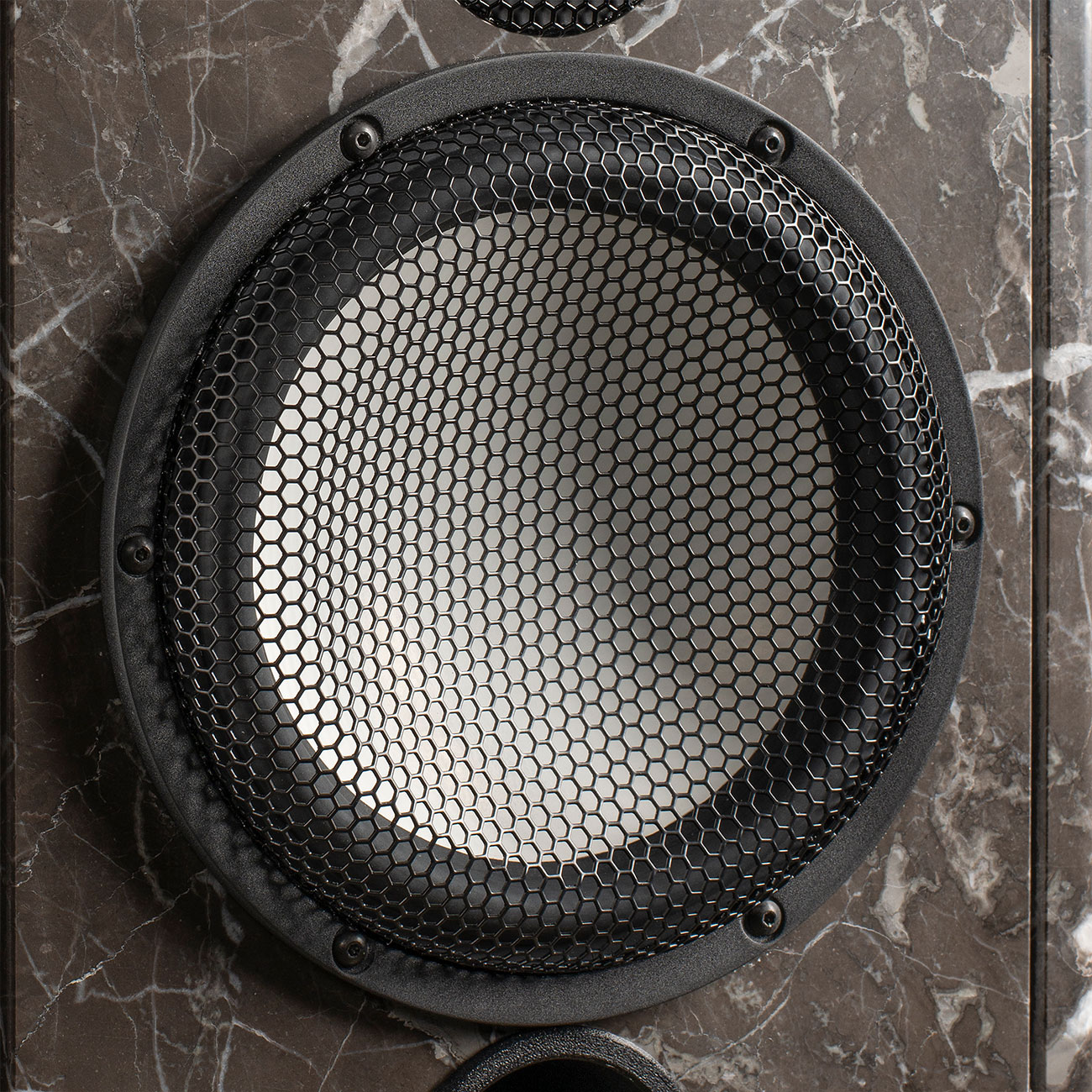 Midrange / Woofer